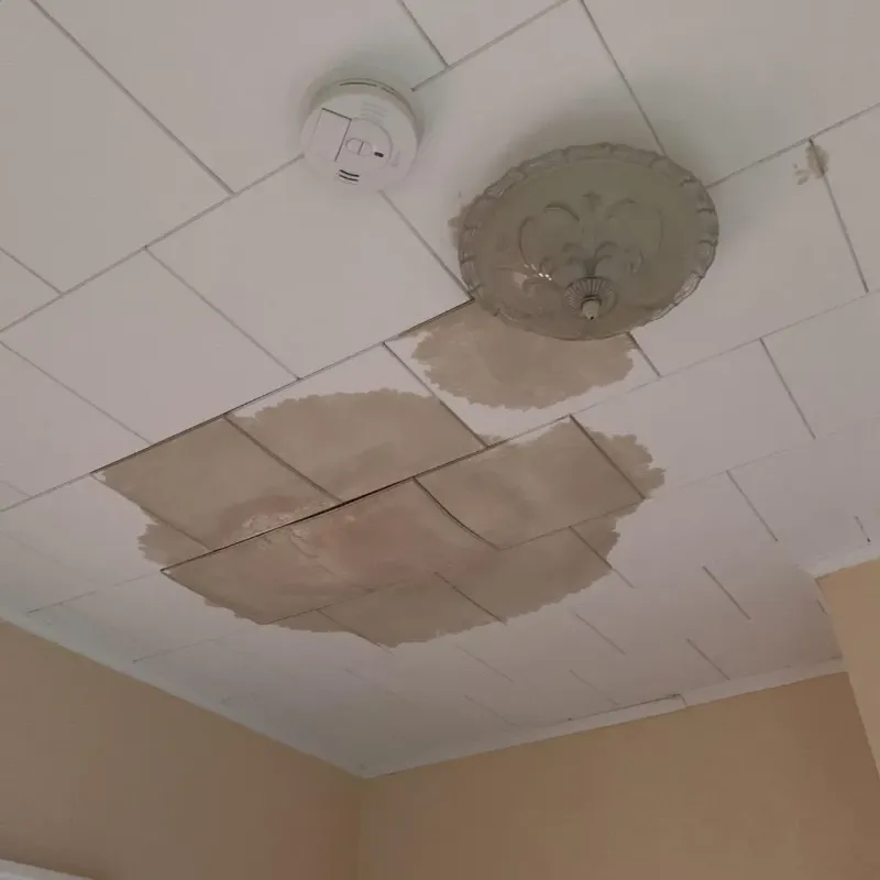 Ceiling Water Damage Repair in Pontiac, MI