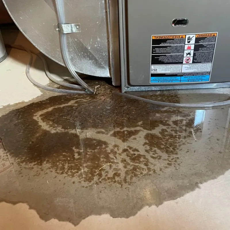 Pipe Burst and Leak Restoration in Pontiac, MI
