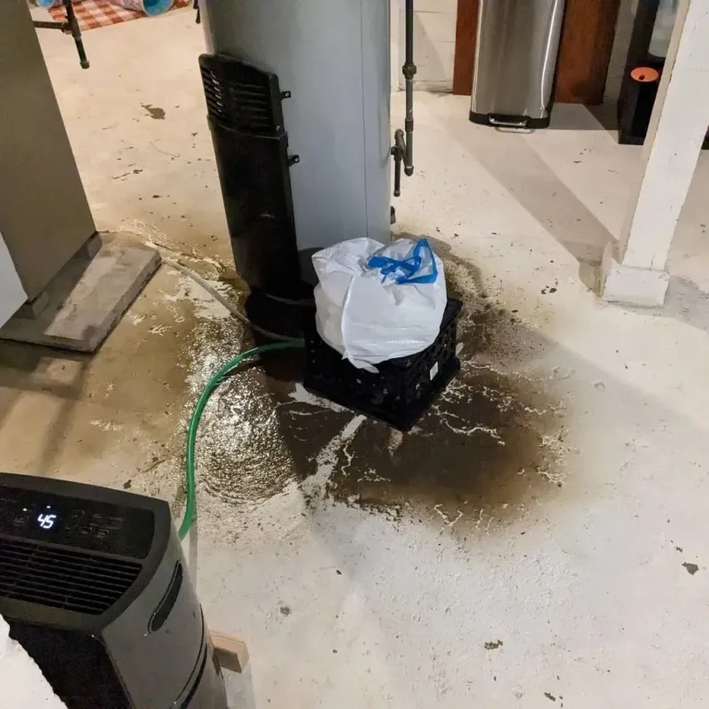 Sewage Backup Cleanup Service in Pontiac, MI
